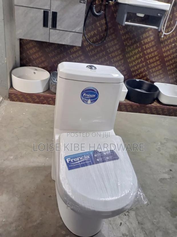 303 One Piece Toilet Available Frencia
