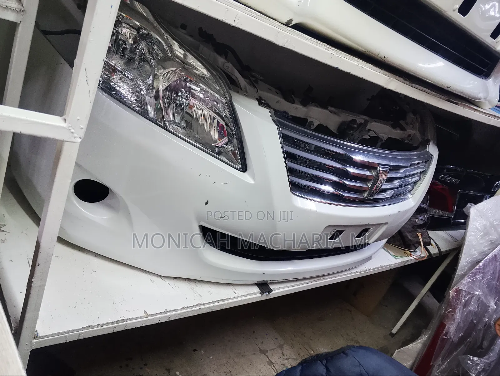 Premio 260 Nose Cut
