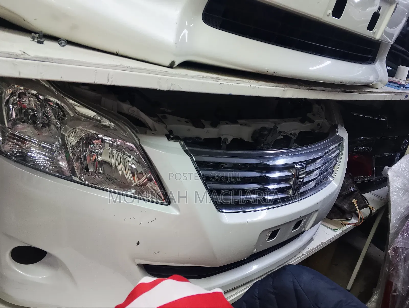 Premio 260 Nose Cut