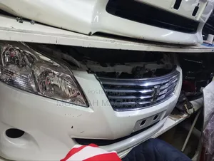 Premio 260 Nose Cut