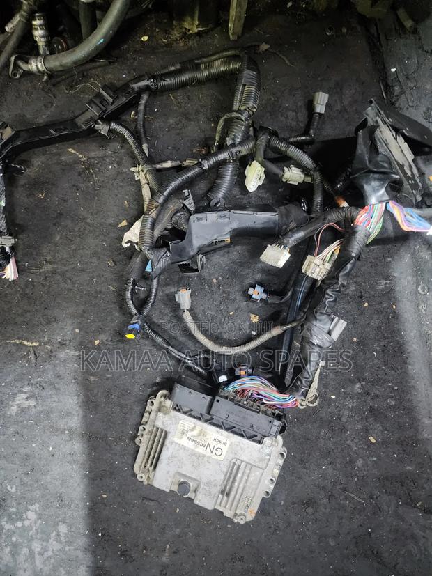 Nissan Patrol,Navara and Caravan (Zd30) Harness Complete