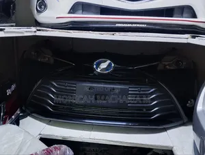 Vitz 2018 Model Nose Cut