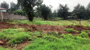 Plot for Sale in Thindigua