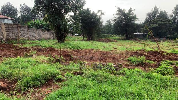 Plot for Sale in Thindigua - thumbnail 2