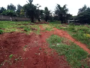 Plot for Sale in Thindigua