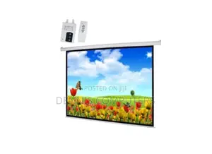 Electric Projector Screen 300 X 300 Cms