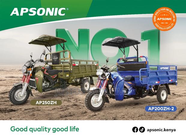 Apsonic Tuktuk (Heavy Duty,High-Capacity, Long-Distance Cargo