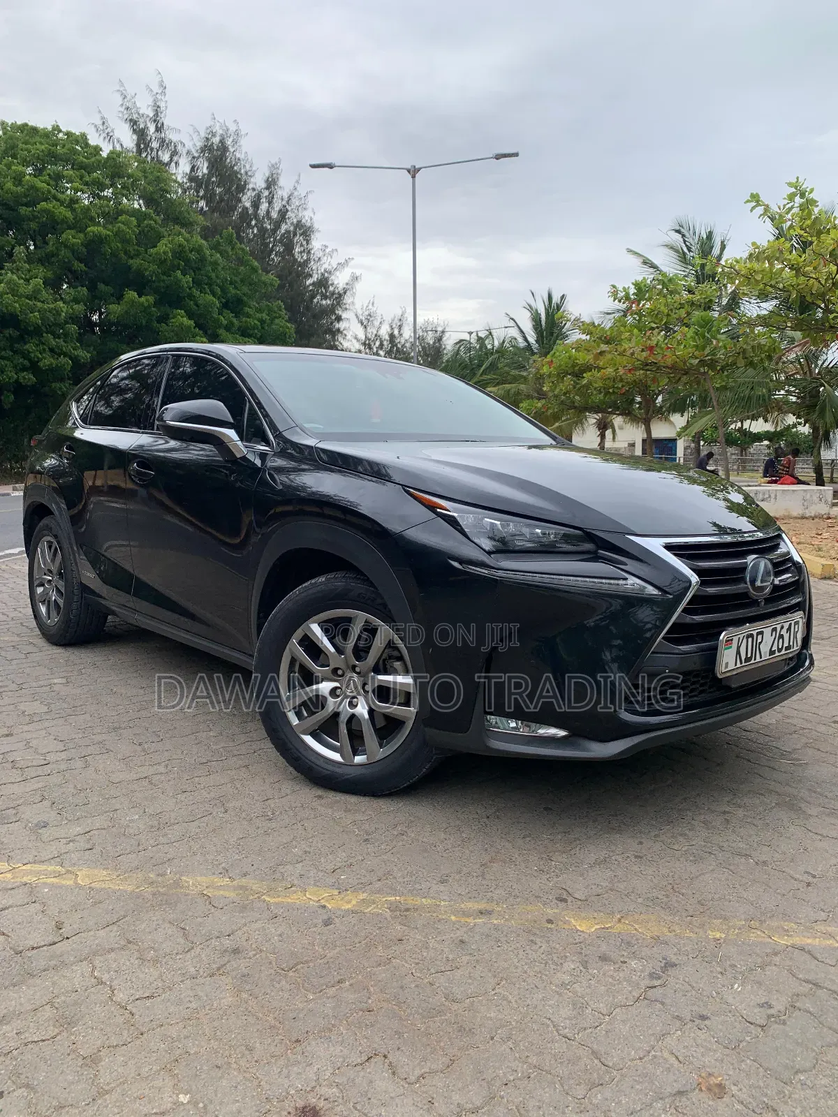 Lexus NX 300h Base 4x4 (2.5L 4cyl 2A) 2017 Black