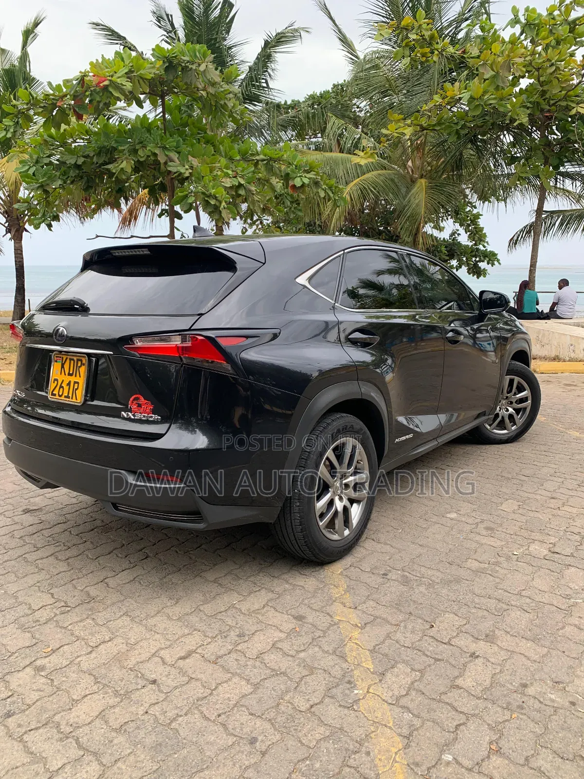 Lexus NX 300h Base 4x4 (2.5L 4cyl 2A) 2017 Black