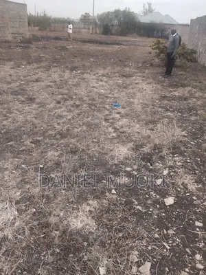 Plot on Sale