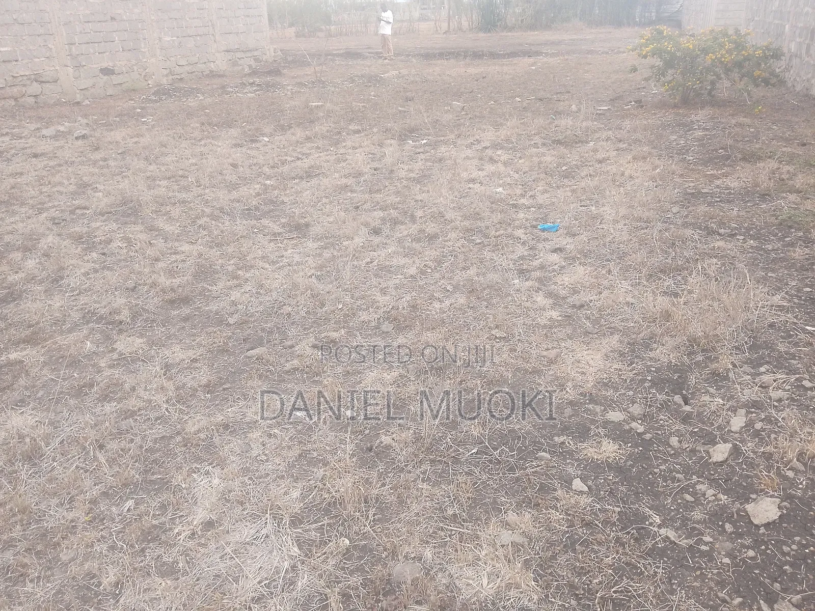 Plot on Sale