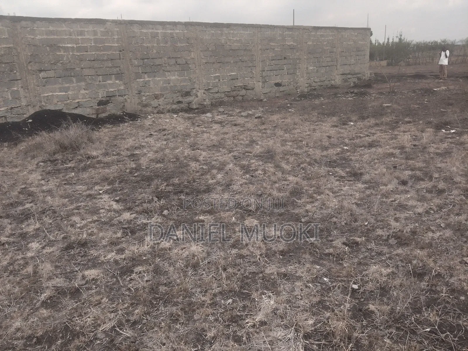 Plot on Sale