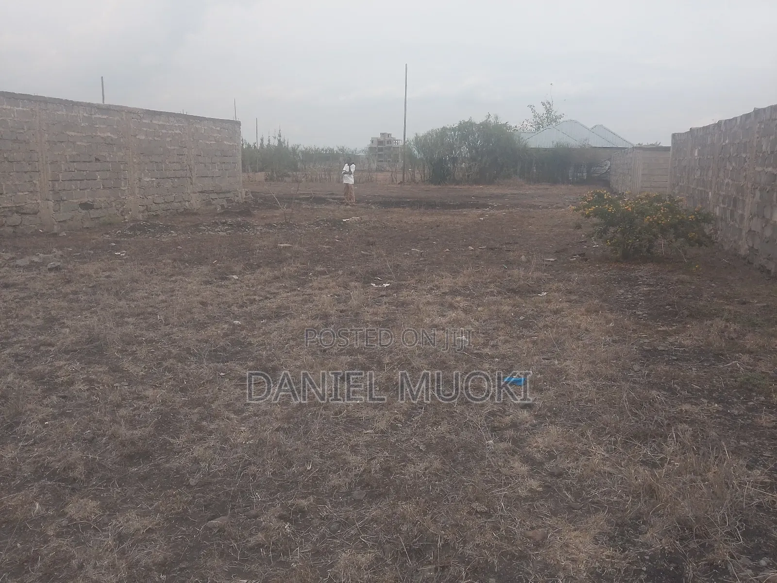 Plot on Sale