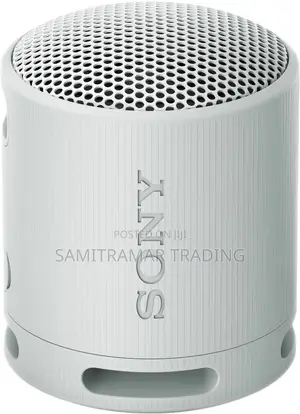 SRS-Xb100 Sony Portable Bluetooth Speaker