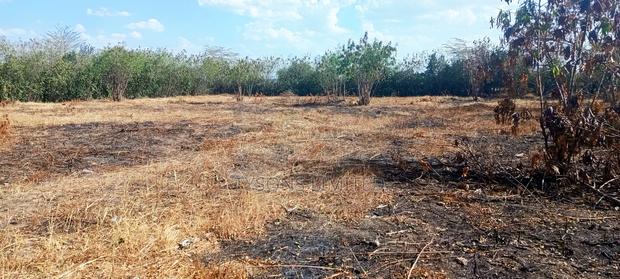 Land for Sale in Kitengela, Kimalat Area - thumbnail 3