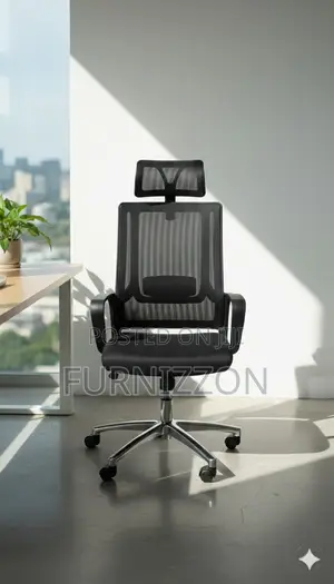 Ergonomic Height Adjustable Mesh Chair