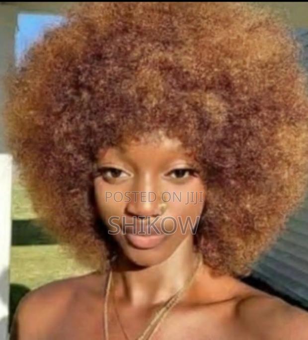 Afro Wig – Fashion Fun