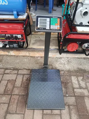 300kg Base Scale /Quality 300kg Platsform Scale