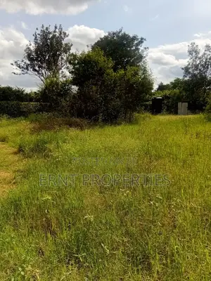 Prime 1⁄2 Acre Plot for Sale – Korompoi, Naisula 1