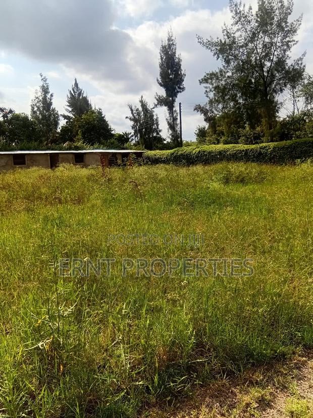 Prime 1⁄2 Acre Plot for Sale – Korompoi, Naisula 1 - thumbnail 4