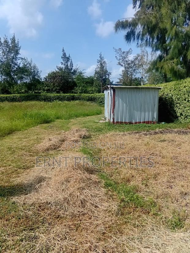 Prime 1⁄2 Acre Plot for Sale – Korompoi, Naisula 1 - thumbnail 6
