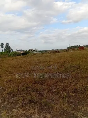 Prime 1/8 Acre Plots – Acacia Oloika, Kitengela