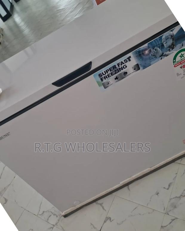 Rebune 200l Deep Freezer – Energy Efficient Storage Solution