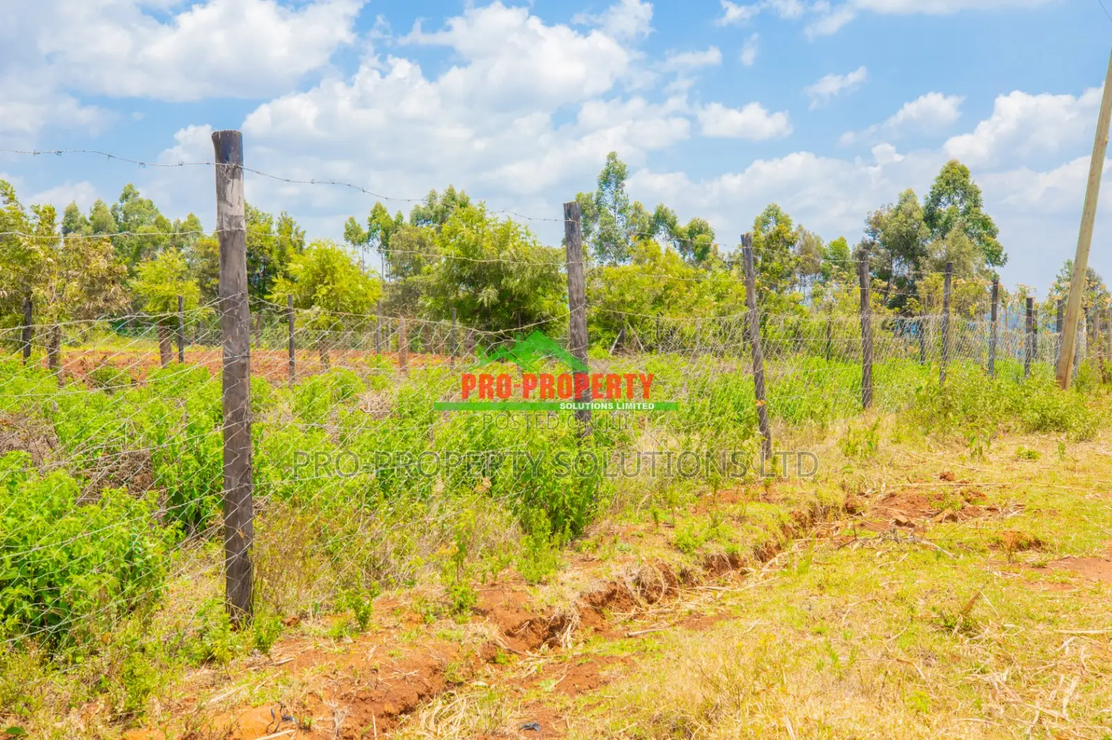 Prime Residential Plot for Sale in Kikuyu, Thigio.