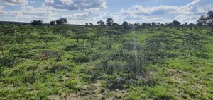 Prime 5 Acres for Sale – Enkirigiri, Isinya