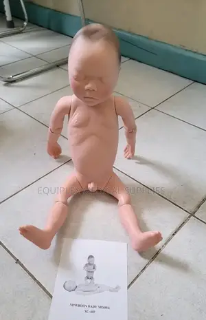 Newborn Model Without Placenta