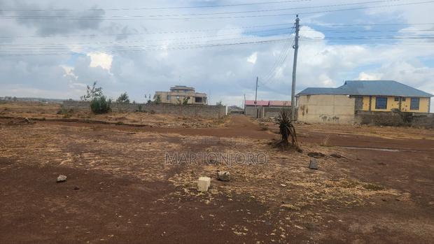 Juja Kalimoni 50by100 - main view