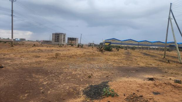 Juja Kalimoni 50by100 - thumbnail 3