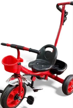 Tricycle With Push Handle for Kids - main view