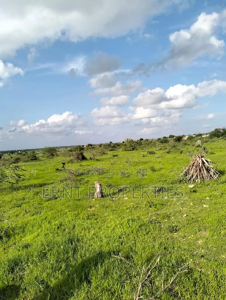 4 1/8 Acre Plots For Sale In Lukenya Near Daystar University