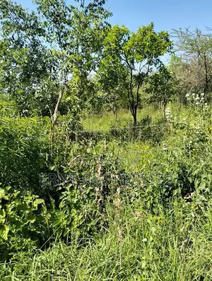 1/4 Acre Residential Plots for Sale Near Embu Town