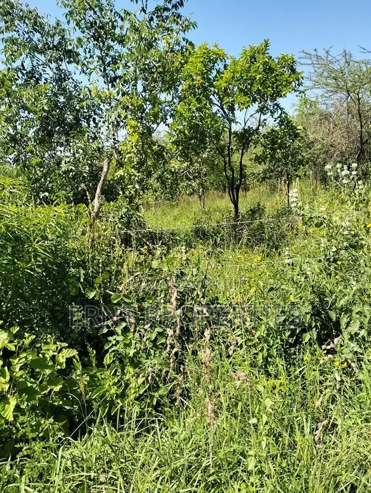1/4 Acre Residential Plots for Sale Near Embu Town