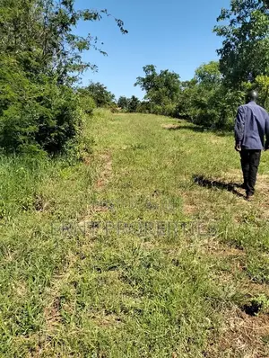 1/4 Acre Residential Plots for Sale Near Embu Town