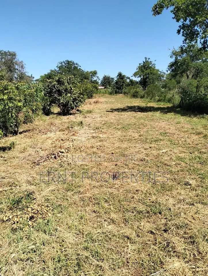 1/4 Acre Residential Plots for Sale Near Embu Town