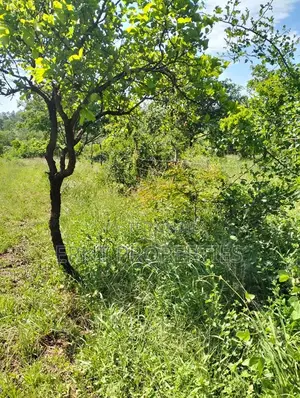 1/4 Acre Residential Plots for Sale Near Embu Town
