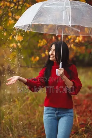 Aesthetic Clear Umbrellas