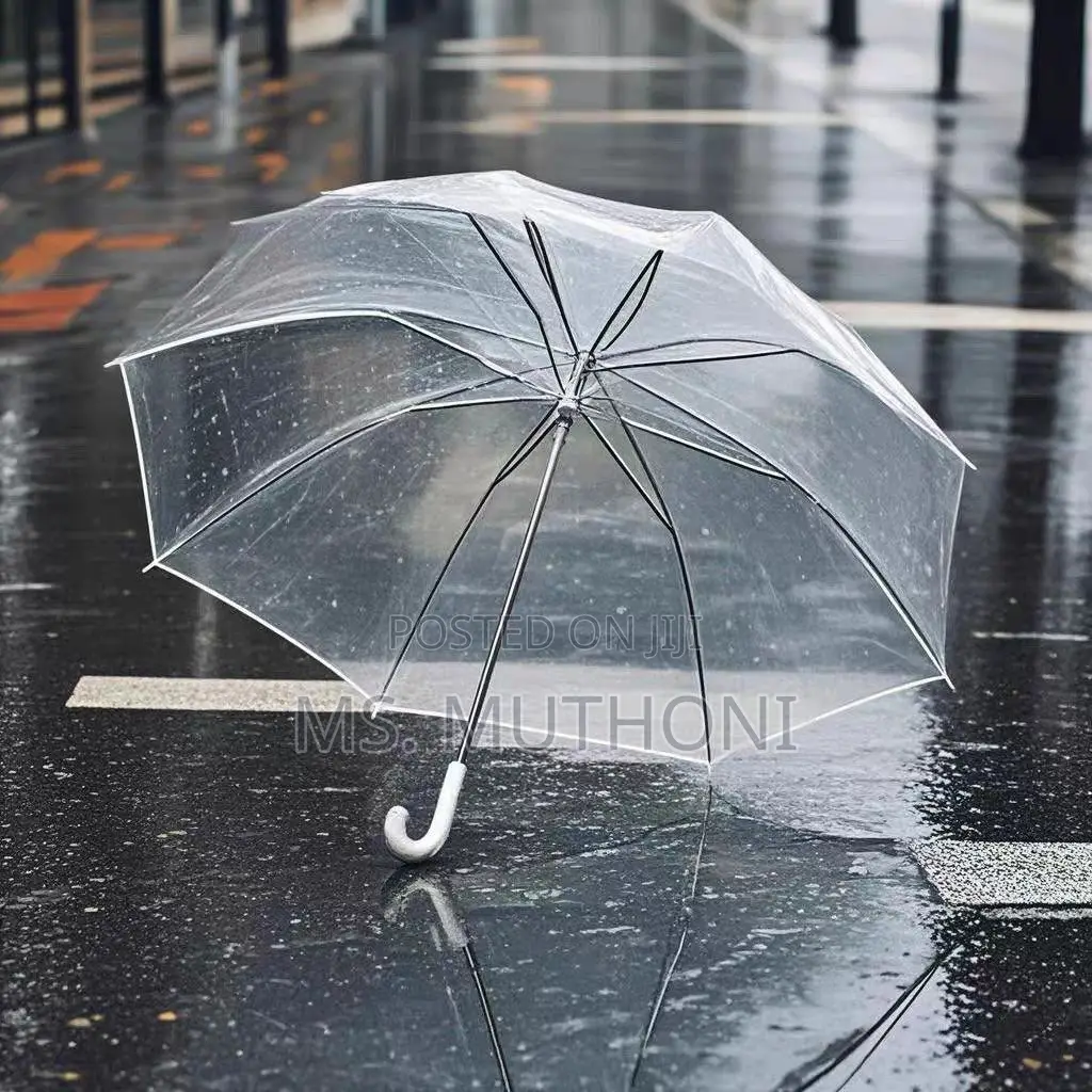 Aesthetic Clear Umbrellas