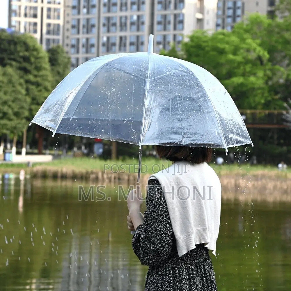 Transparent Clear Umbrella