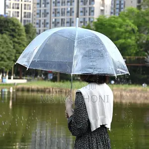Transparent Clear Umbrella