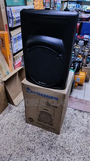 Premier 15" Professional Speaker