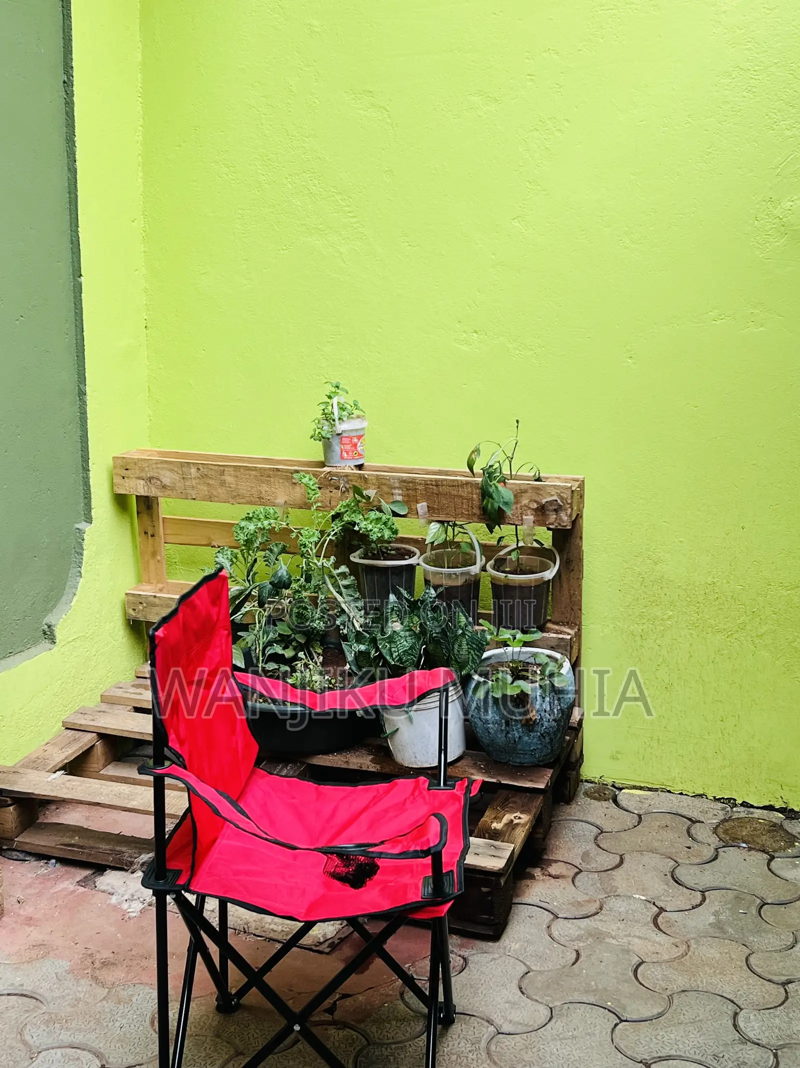 Portable Camping Seats