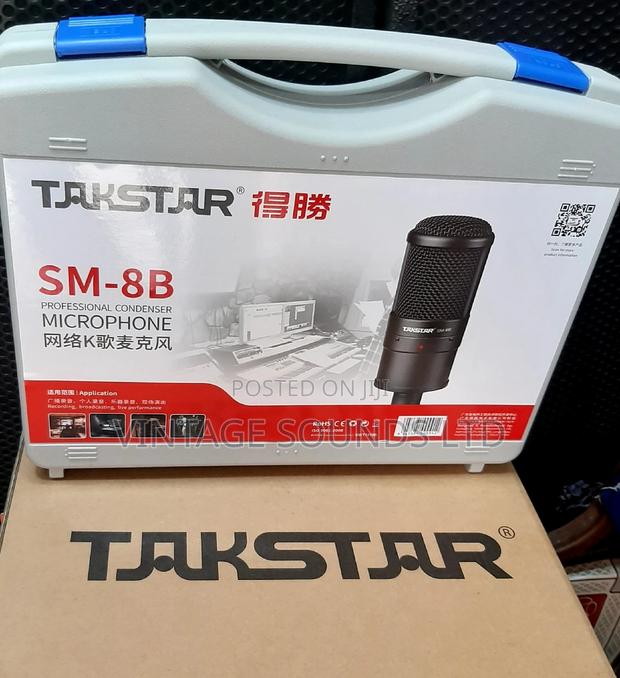 Studio Takstar Codenser Microphone - main view