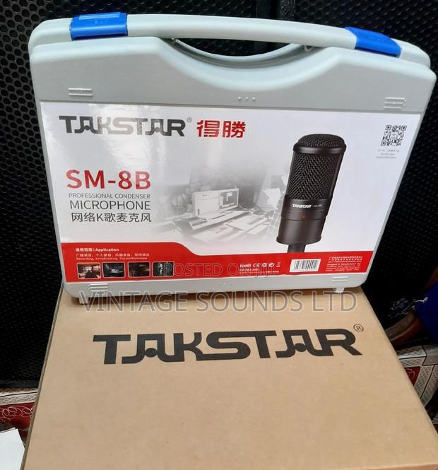 Studio Takstar Codenser Microphone - thumbnail 2