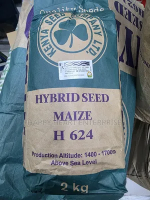 Hybrid Maize Seed H624 2kg