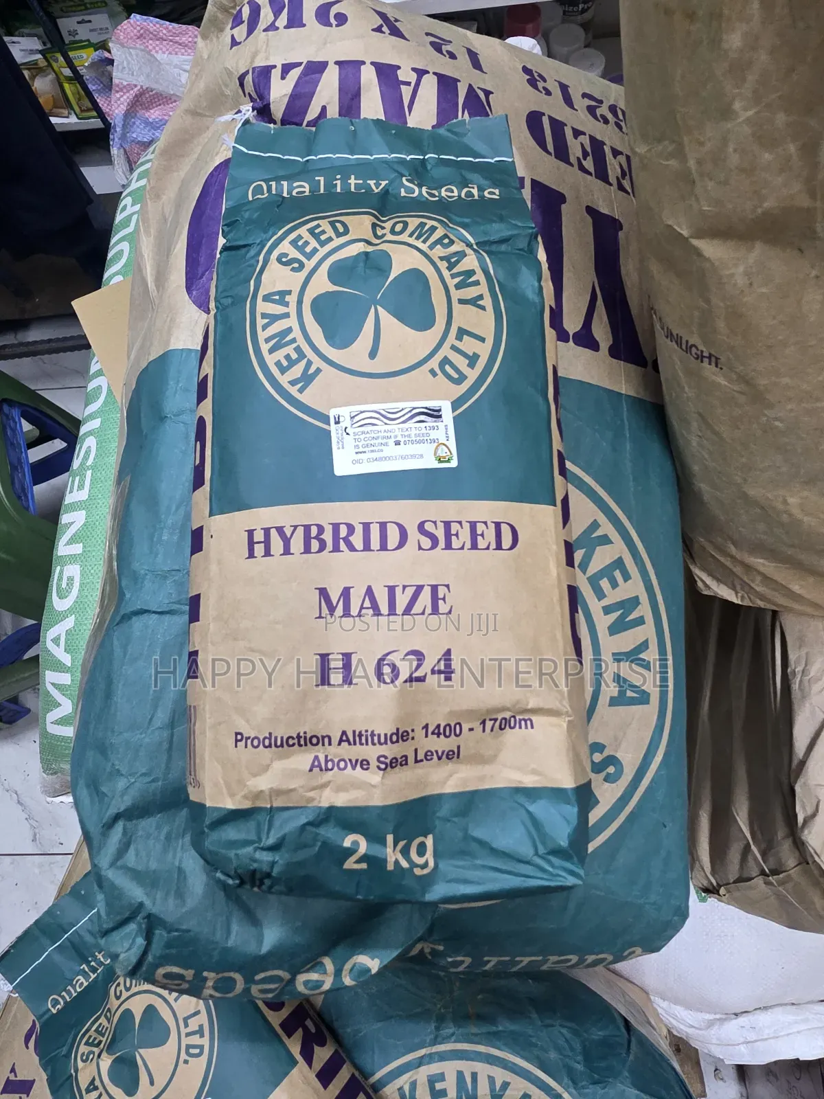 Hybrid Maize Seed H624 2kg