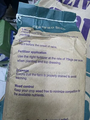 Hybrid Maize Seed H624 2kg